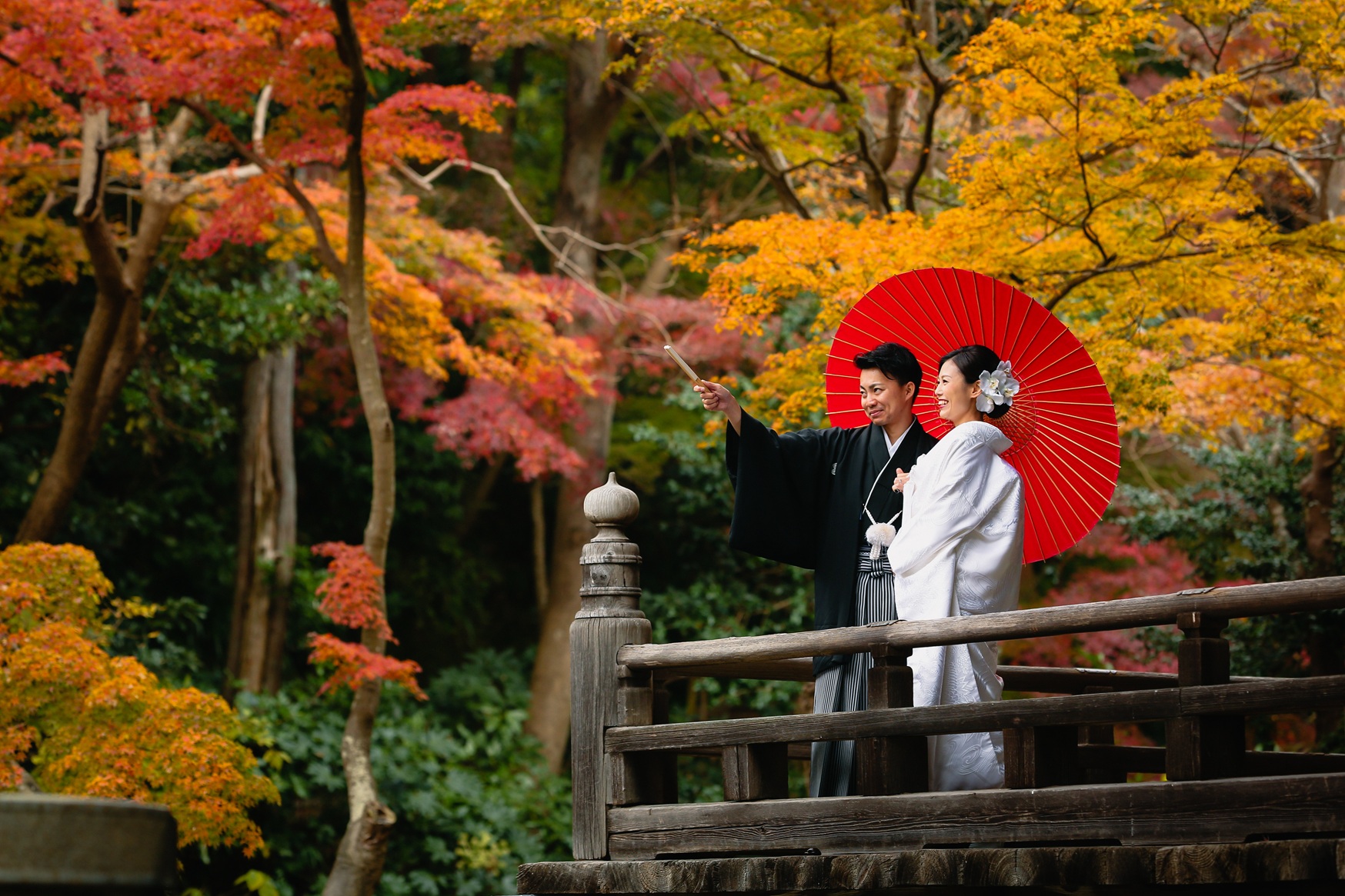 撮影写真