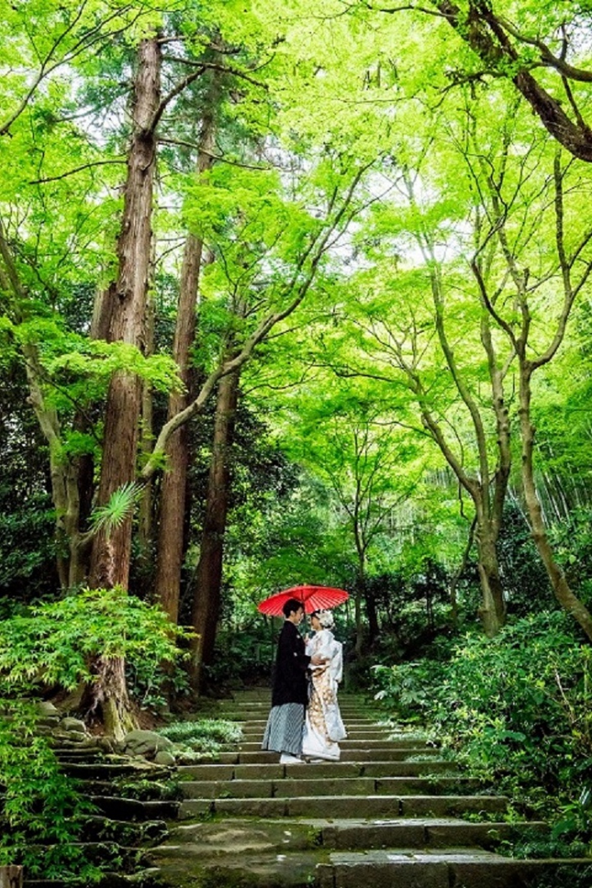 撮影写真
