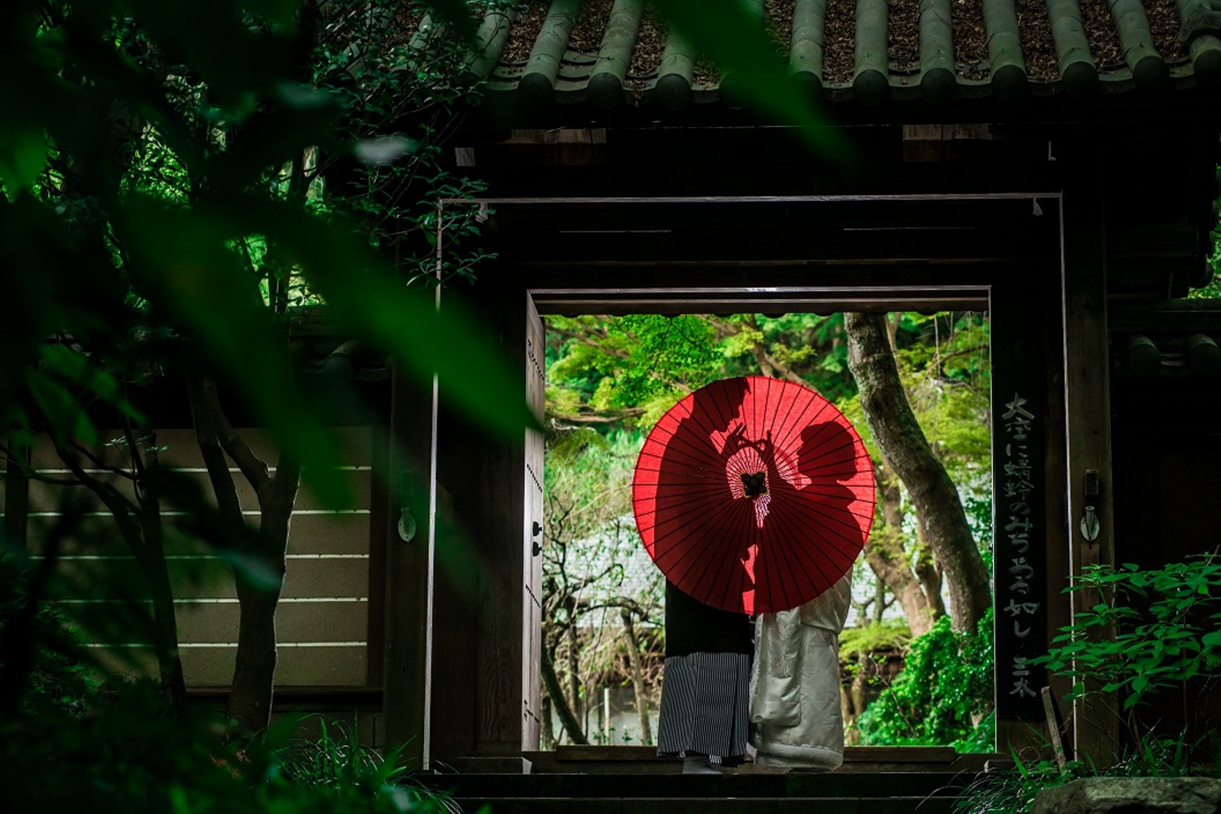 撮影写真