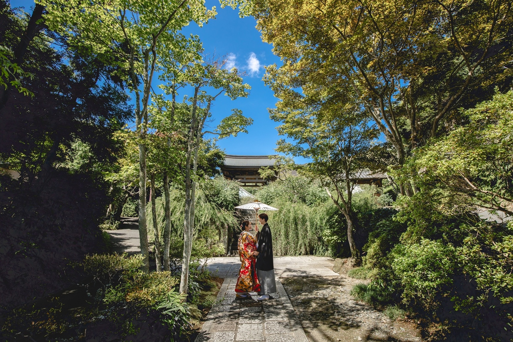 撮影写真