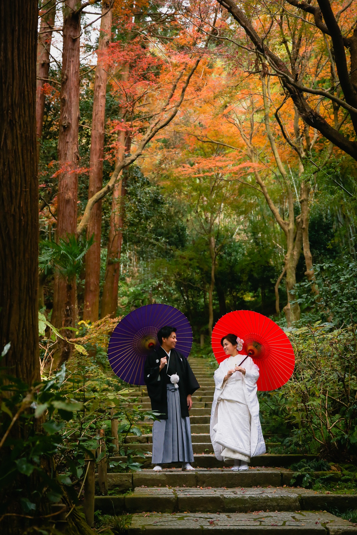 撮影写真