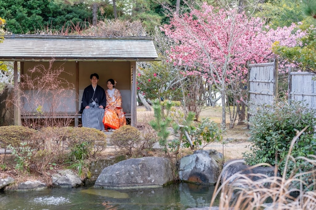 撮影写真